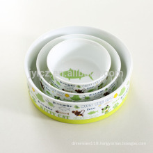 animal print pet bowl